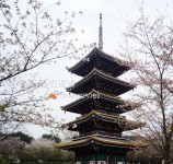 五重塔 五重塔
