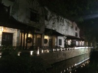 另:平江路上的狗狗 另:平江路上的狗狗