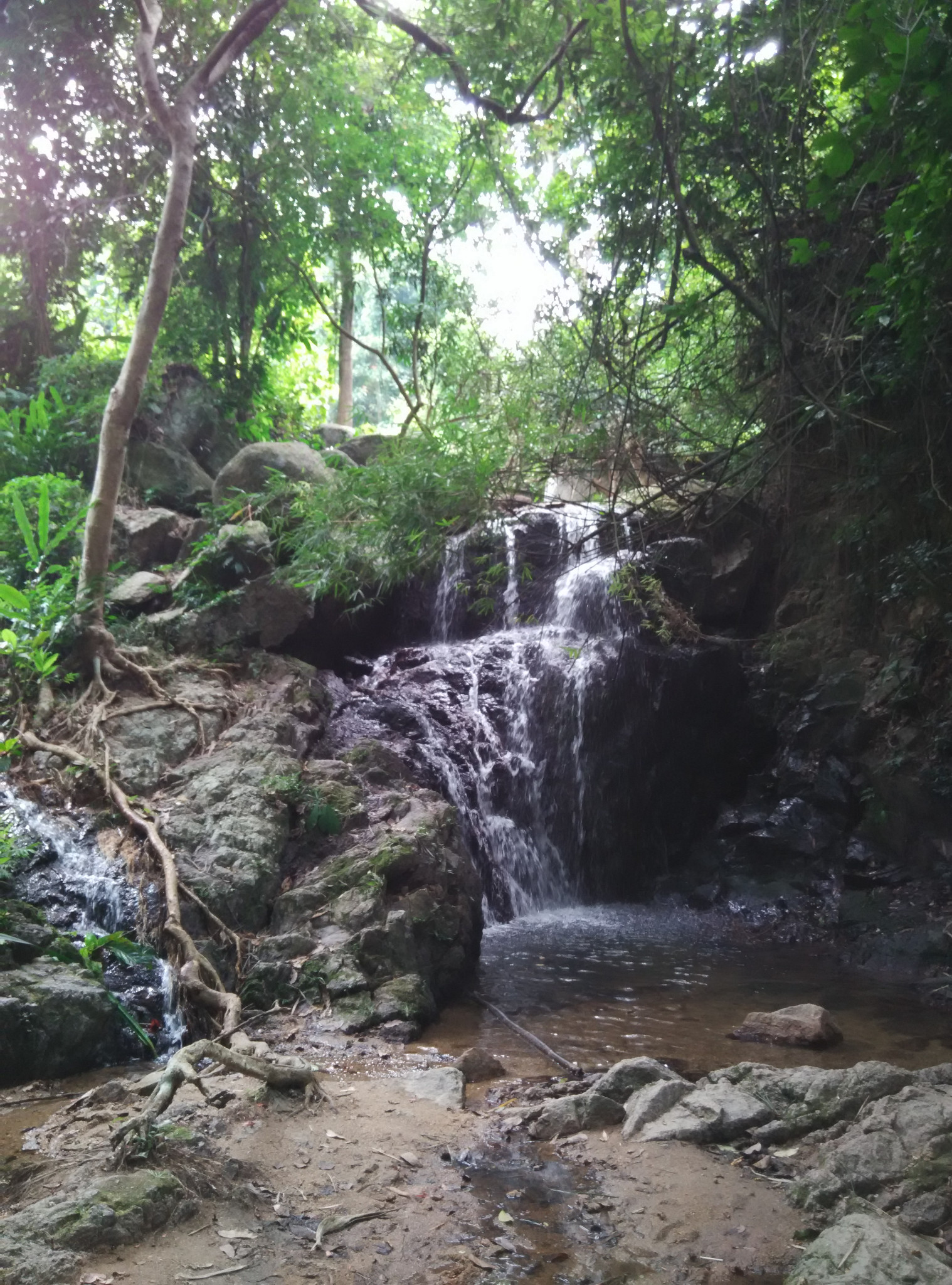 旅遊攻略 廣東 深圳 羊台山 > 到羊台山看最美的景點 過了觀湖亭之後