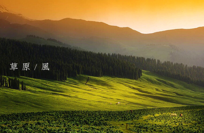 行走天涯65的嗡嗡 - 蚂蜂窝