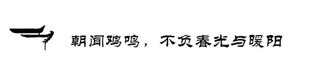 朝闻鸡鸣,不负春光与暖阳 朝闻鸡鸣,不负春光与暖阳