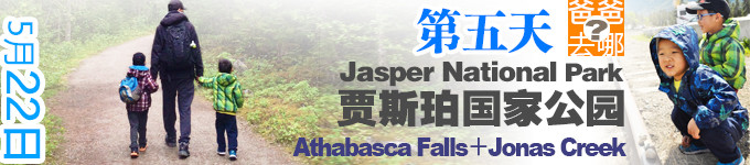 第五天 Athabasca Falls 第五天 Athabasca Falls