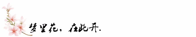 梦里花,在此开. 梦里花,在此开.