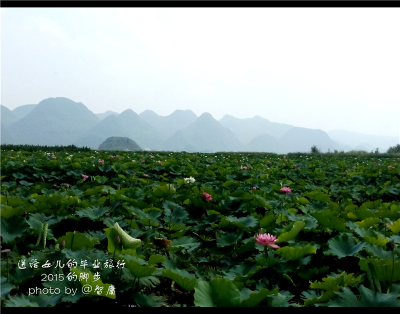 去买一桶泡面算贡献gdp吗_吃一桶泡面增重多少(2)