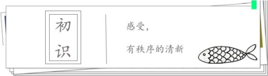 初识 初识